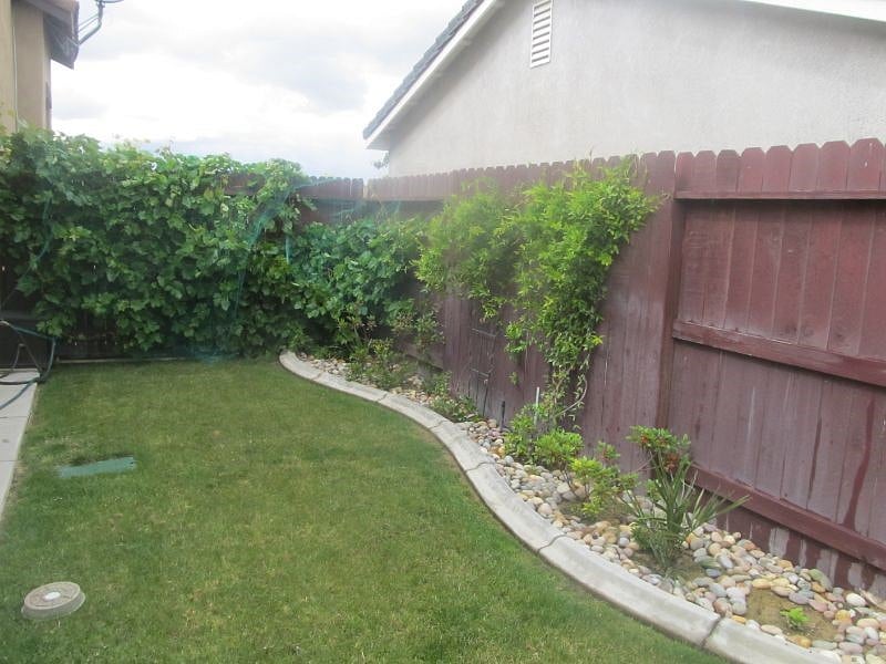 East Side of Back Yard