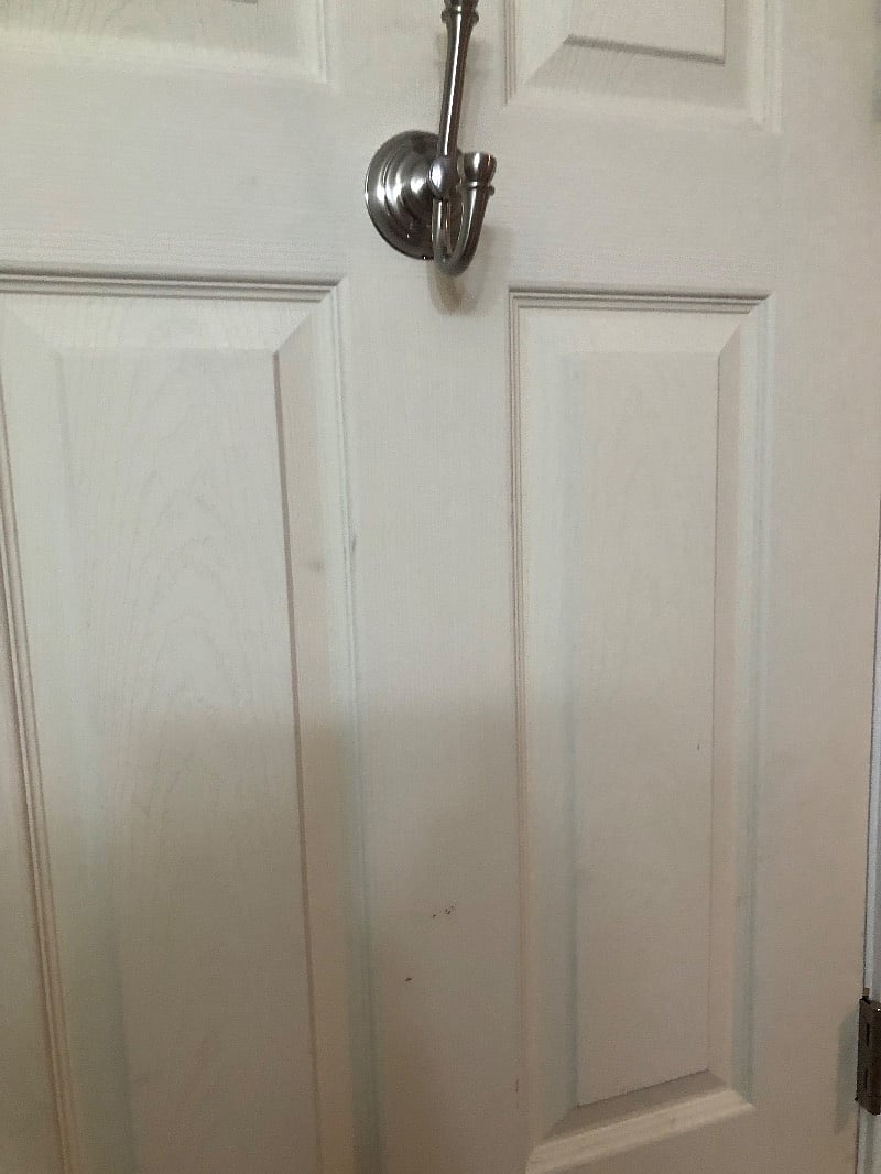 Furnished Finder property 226620_1 photo 24