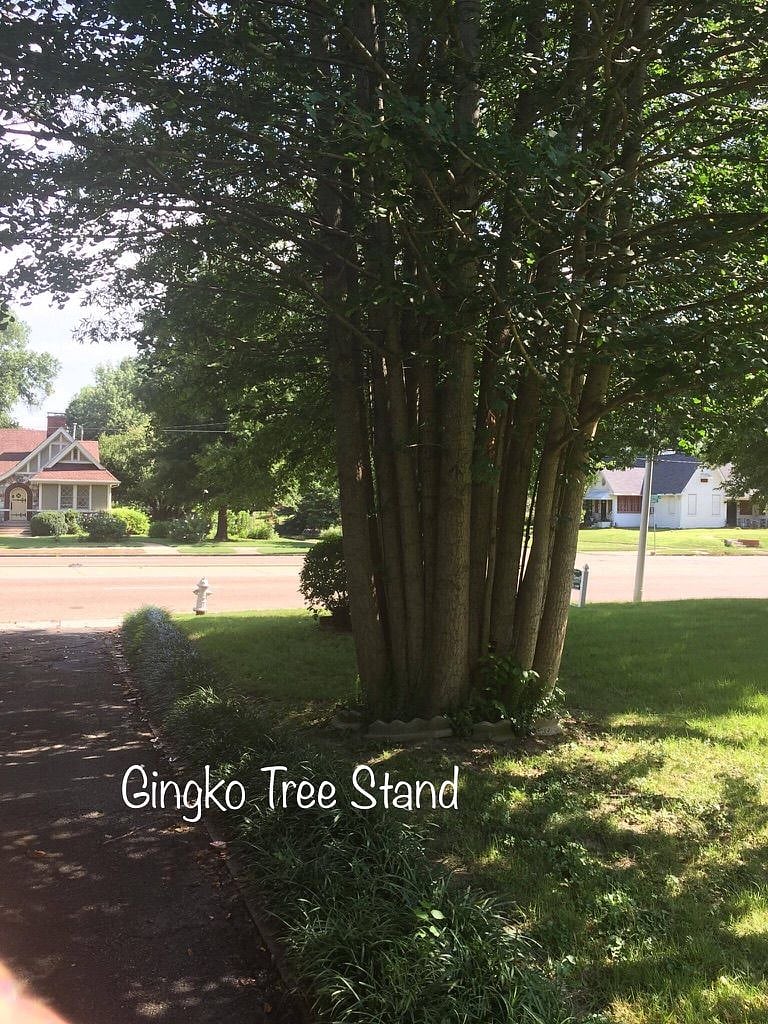 Furnished Finder property 226795_1 photo 16