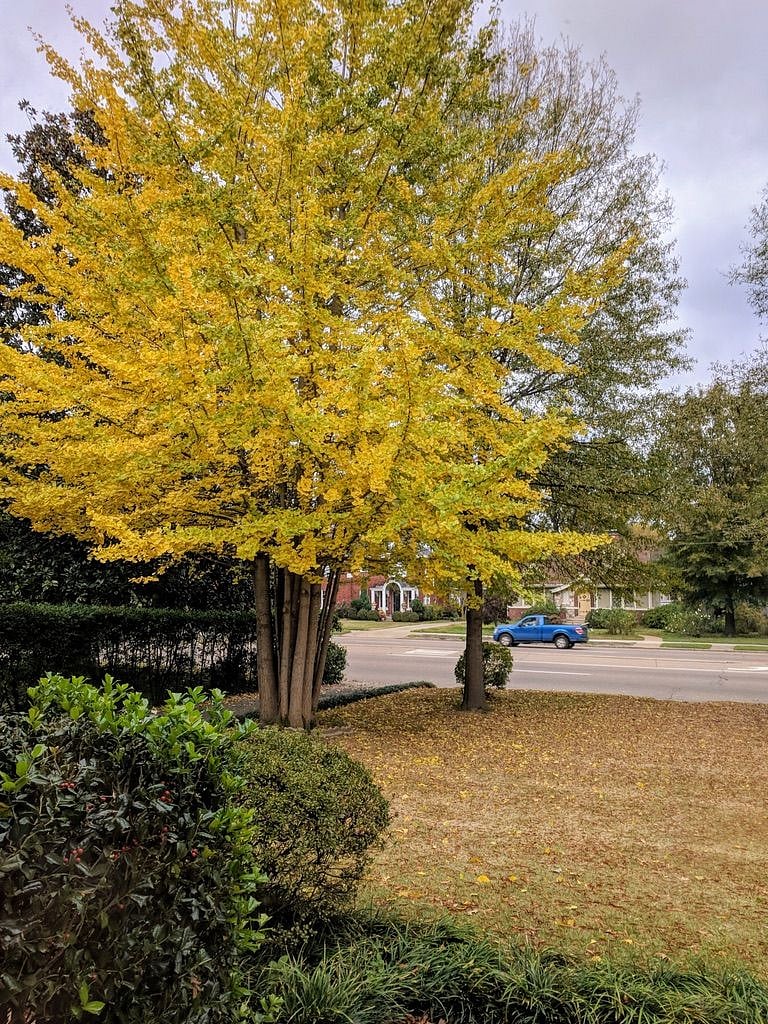 Furnished Finder property 226795_1 photo 17
