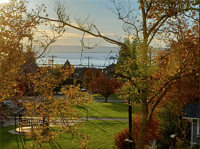 The Northwest Neighborhood Park is across the street from our home