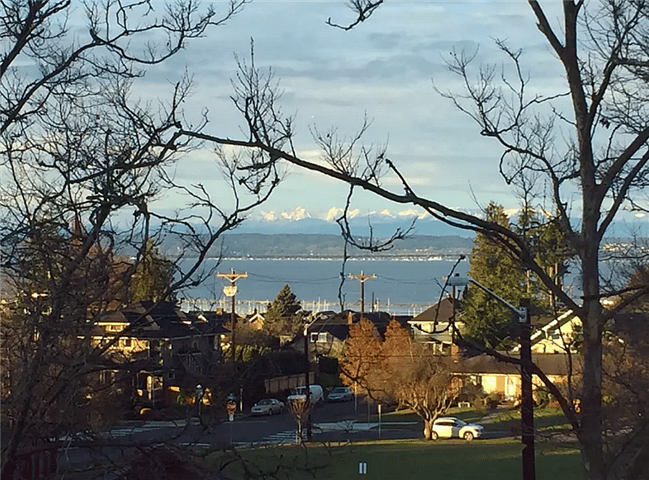 You can see to the Olympics