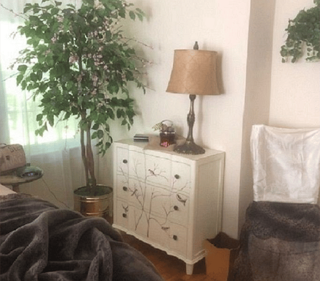Birds in Bedroom One