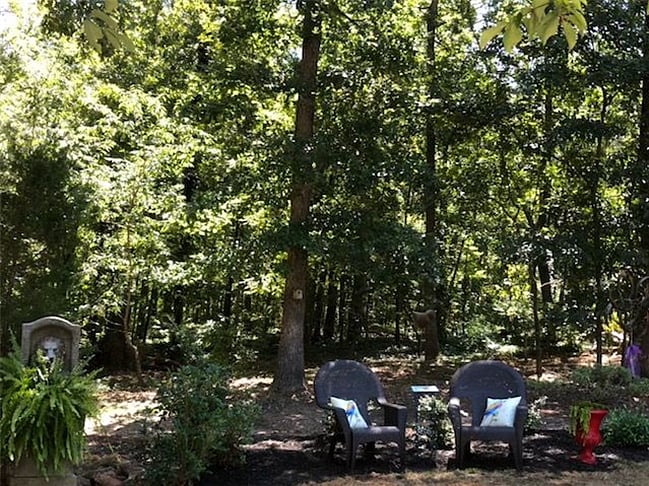Enjoy Nature