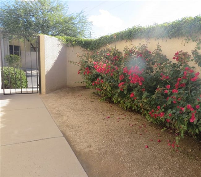 Front patio entrance