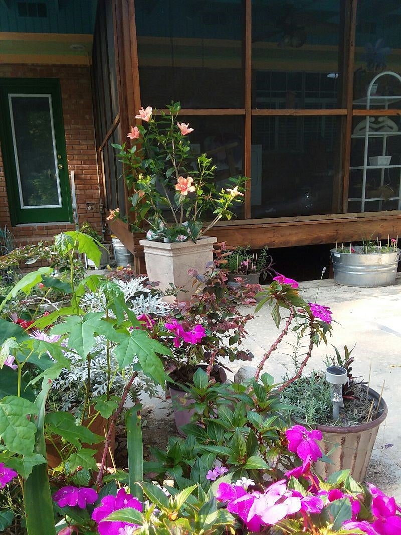 Furnished Finder property 227054_2 photo 11