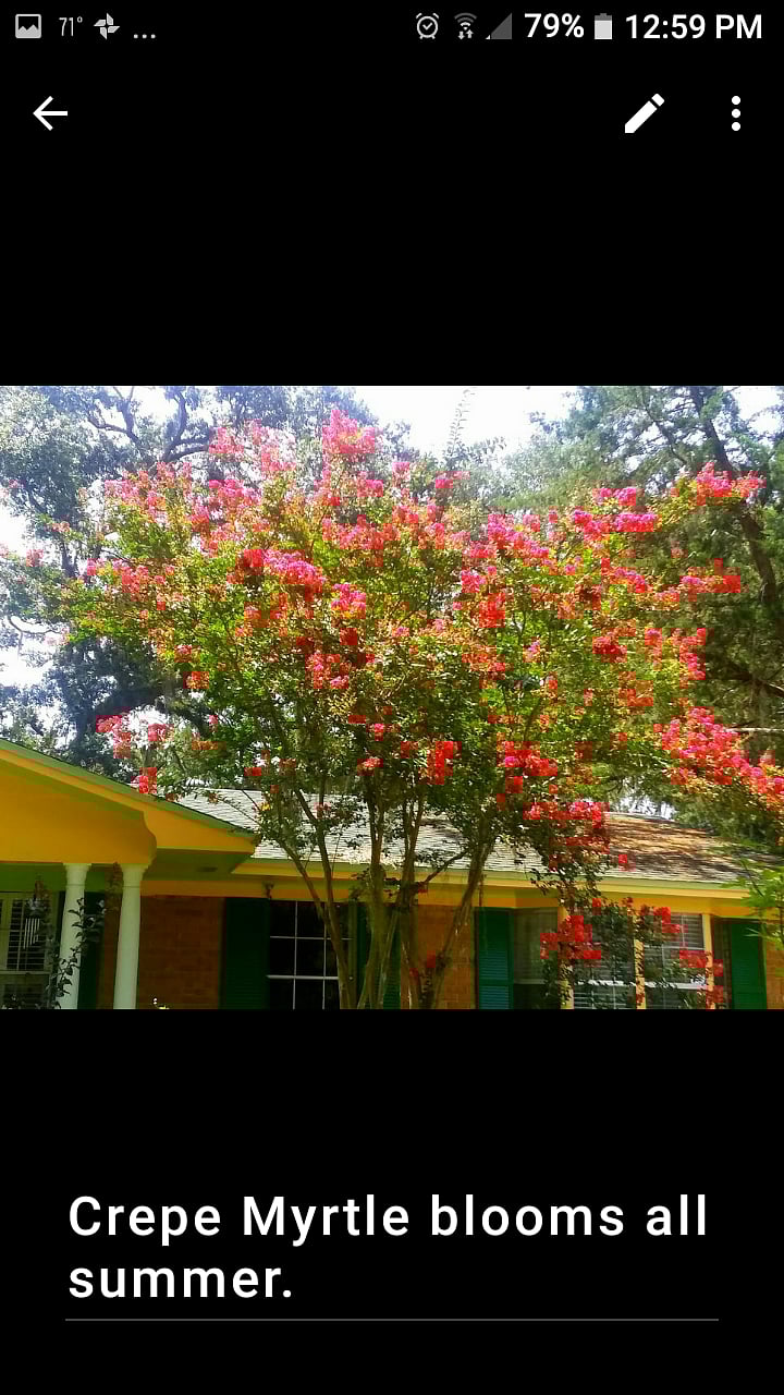 Furnished Finder property 227054_2 photo 14
