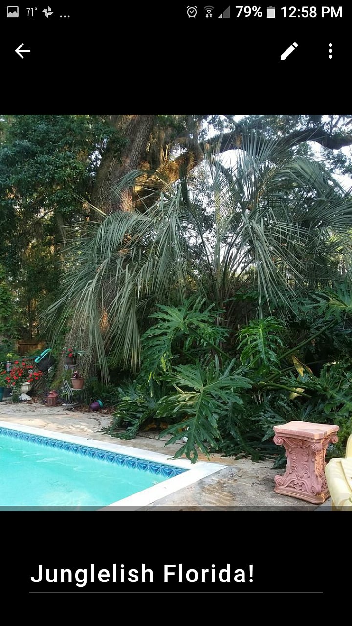 Furnished Finder property 227054_2 photo 16