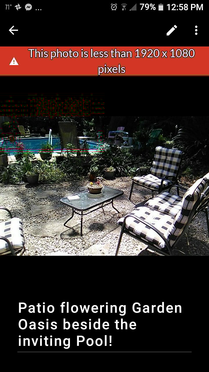 Furnished Finder property 227054_2 photo 18