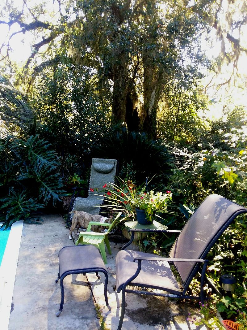 Furnished Finder property 227054_2 photo 24