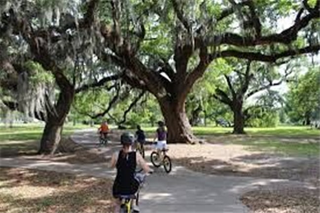 Ride your bike to City Park and enjoy riding under the shade of 100 year old oaks
