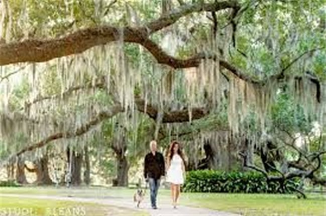 Take a walk to and in City Park beneath the spanish moss landen 100 year old oaks.
