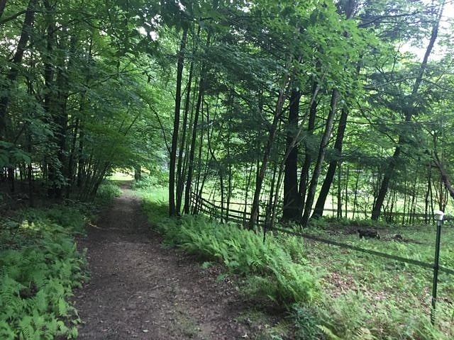 The trail heading back to the house from mountain.