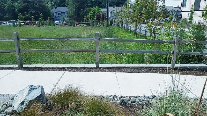 walking path