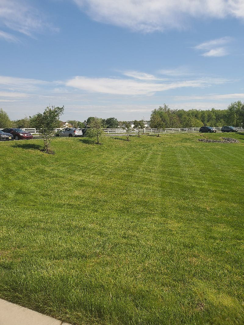 Furnished Finder property 227687_1 photo 7