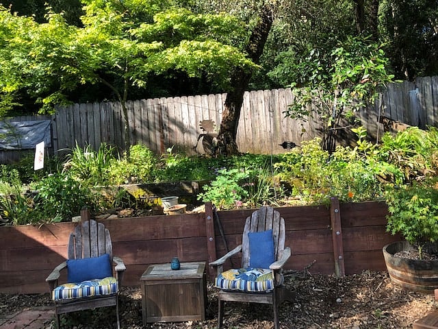 Front yard looking out towards Bohemian Grove