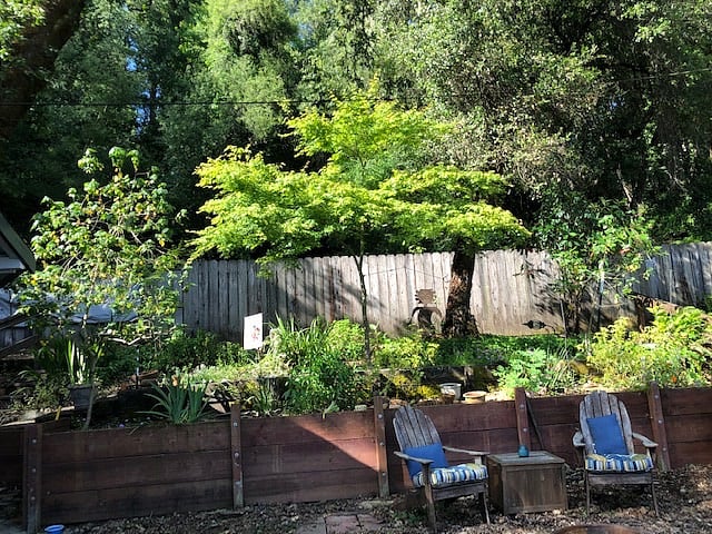 Furnished Finder property 227696_1 photo 26