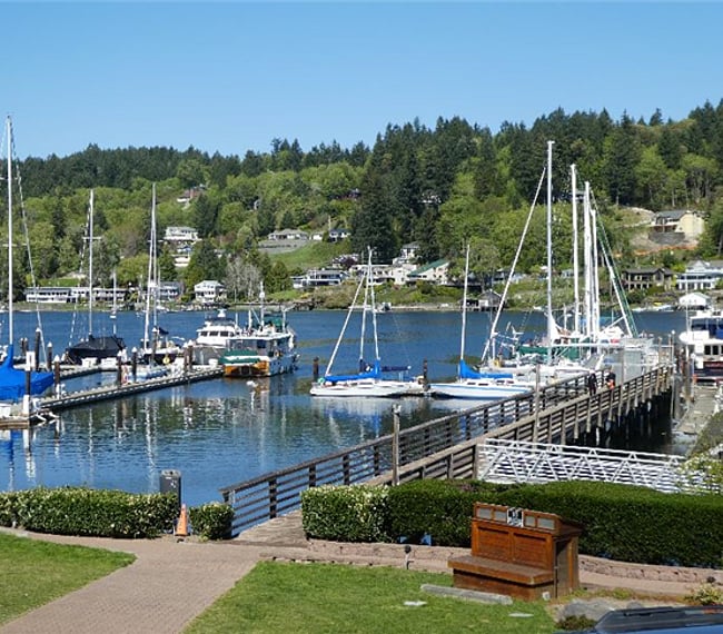 The Harbor