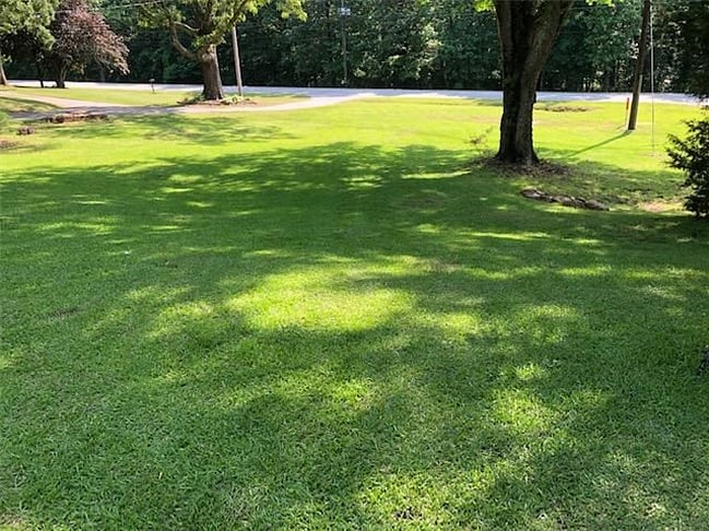 View from front porch