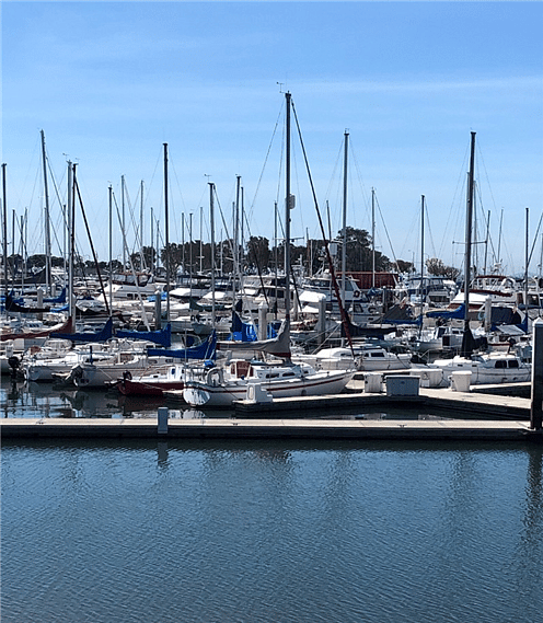 Furnished Finder property 228210_1 photo 12