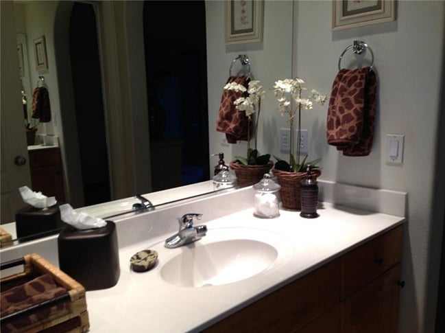 Master Vanity Area