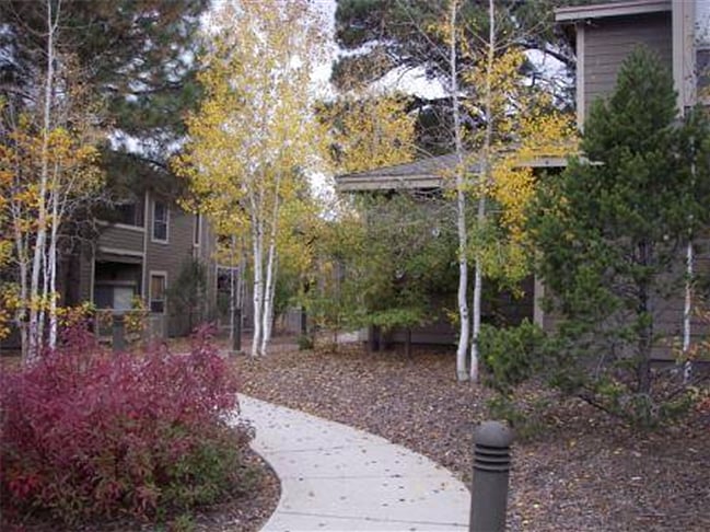 Common Area Landscaping