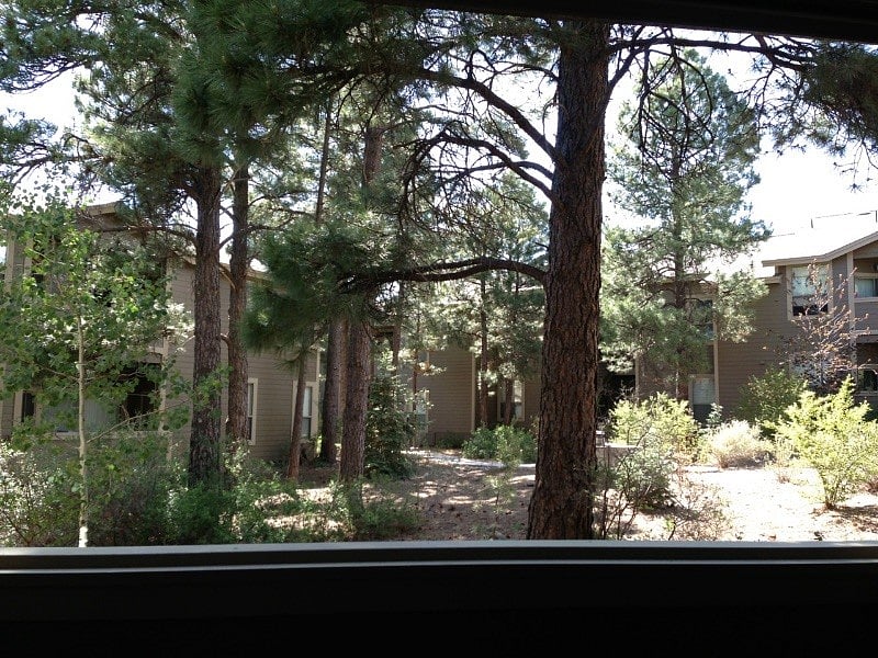 Furnished Finder property 228222_4 photo 14