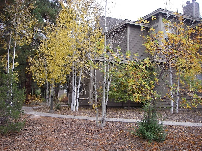 Furnished Finder property 228222_6 photo 22
