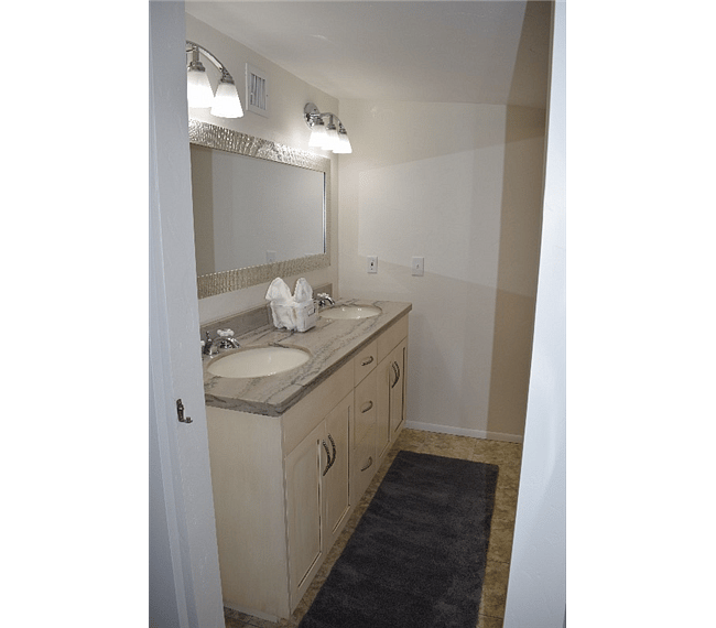 Master Bathroom Sinks