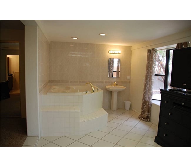 Master Jacuzzi Tub