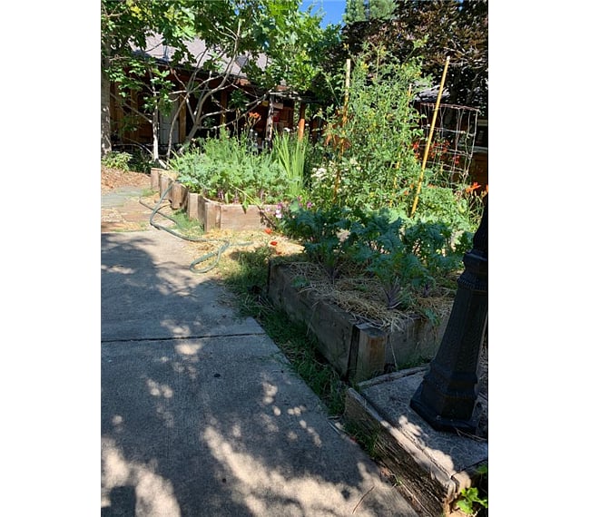 community garden area