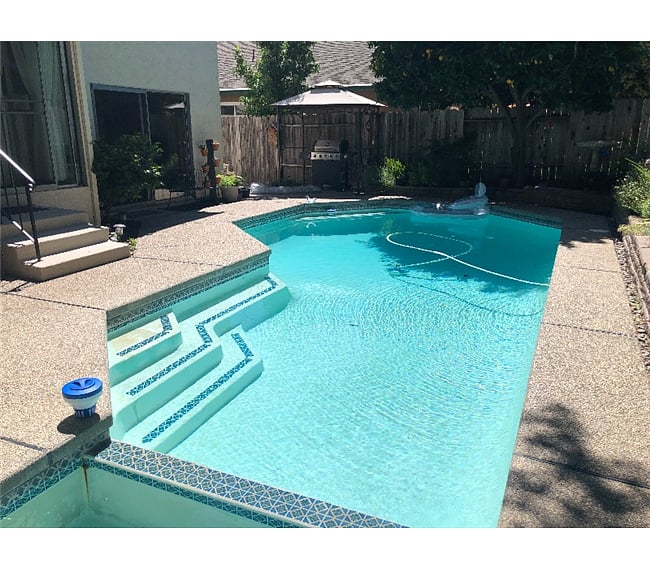 Backyard Pool