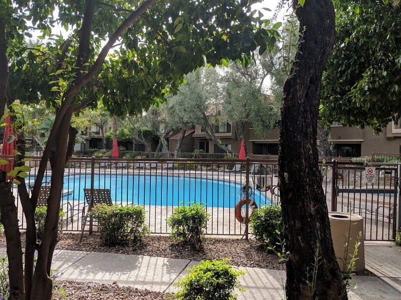 View from the patio-located on the first floor