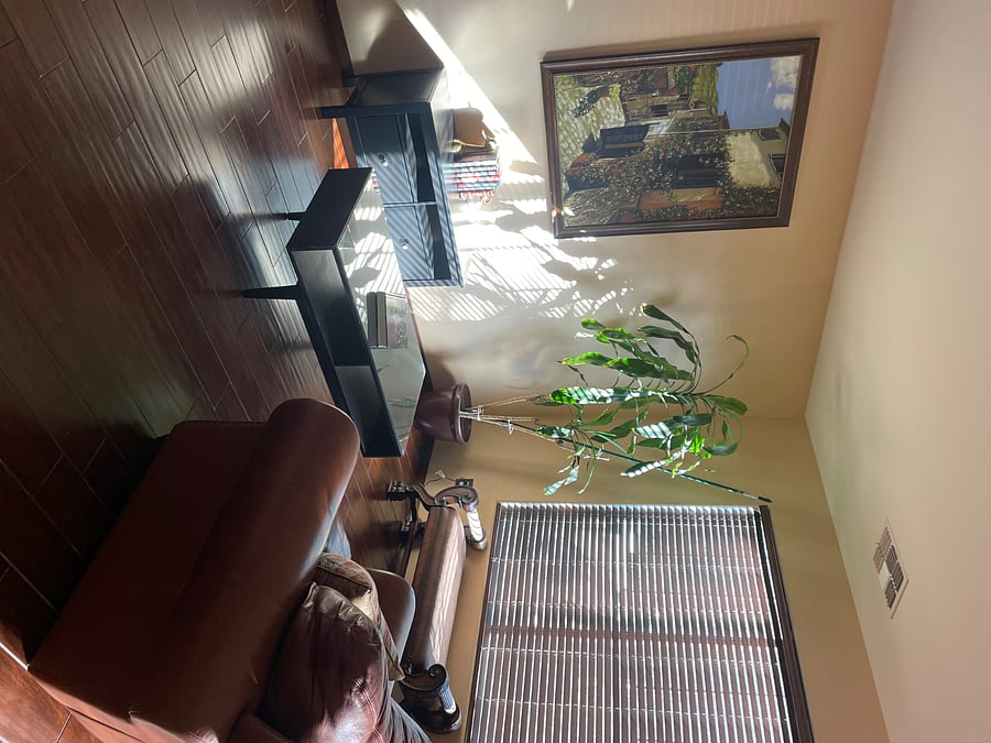 Furnished Finder property 228746_1 photo 3
