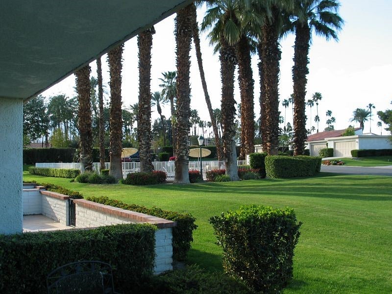 Pool & Spa in the background