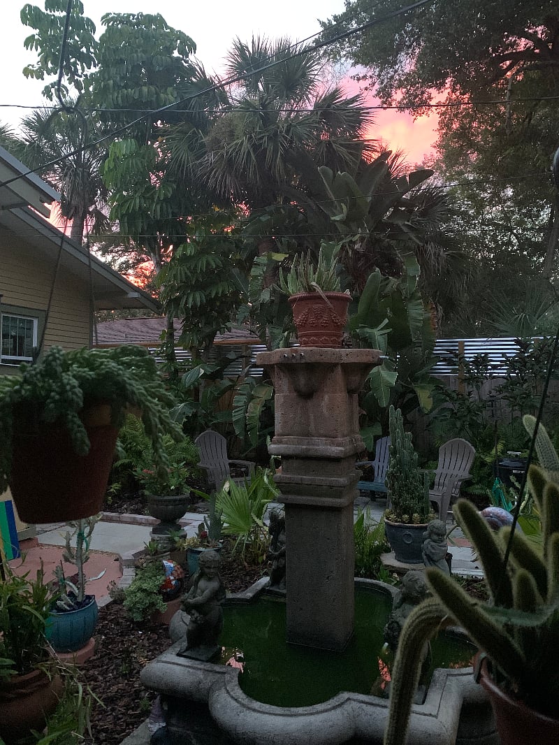 Have your morning coffee in the yard as the sunrises.