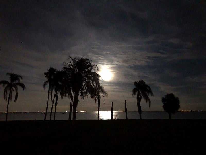 If you're not a morning person take an evening stroll to watch the moon rise over Tampa Bay.
