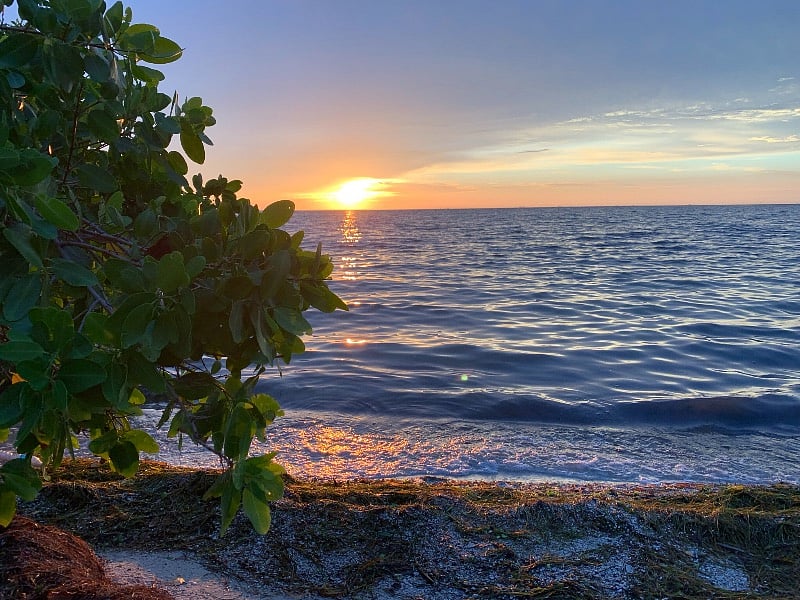 Take a morning walk to Lassing Park at sunrise