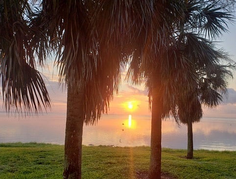 Morning sunrise