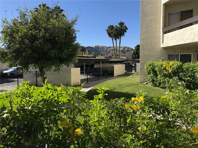 View From Patio