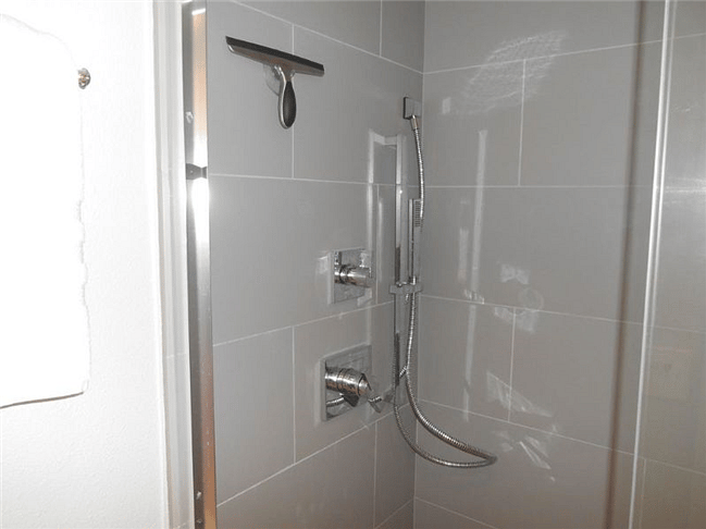 Master Bath Shower