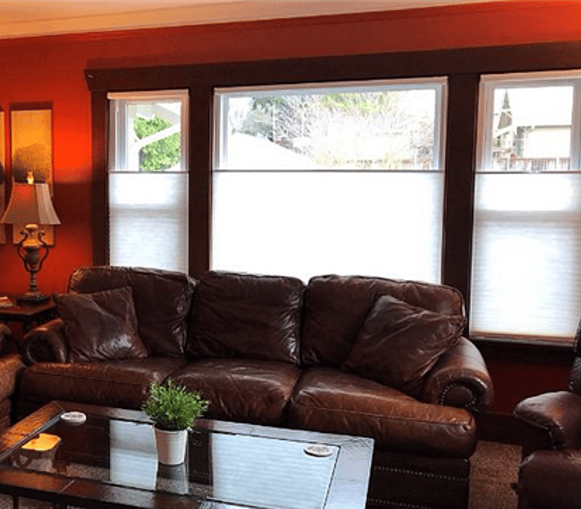 Comfy leather couches 