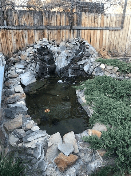 Pond/Waterfall with Fish
