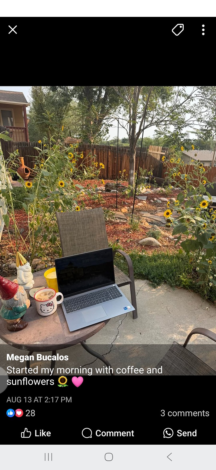 Back porch in the summer