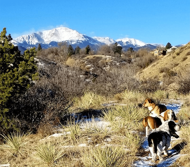 Trails 10 minutes from your apartment