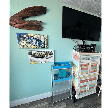 Large flat screen tv with dvd player