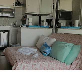 Full size futon bed