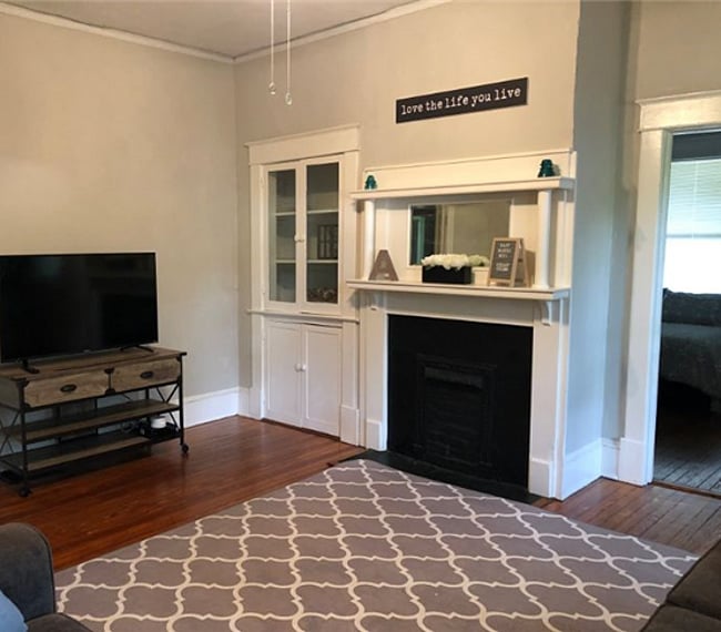 Living room and decorative fire place