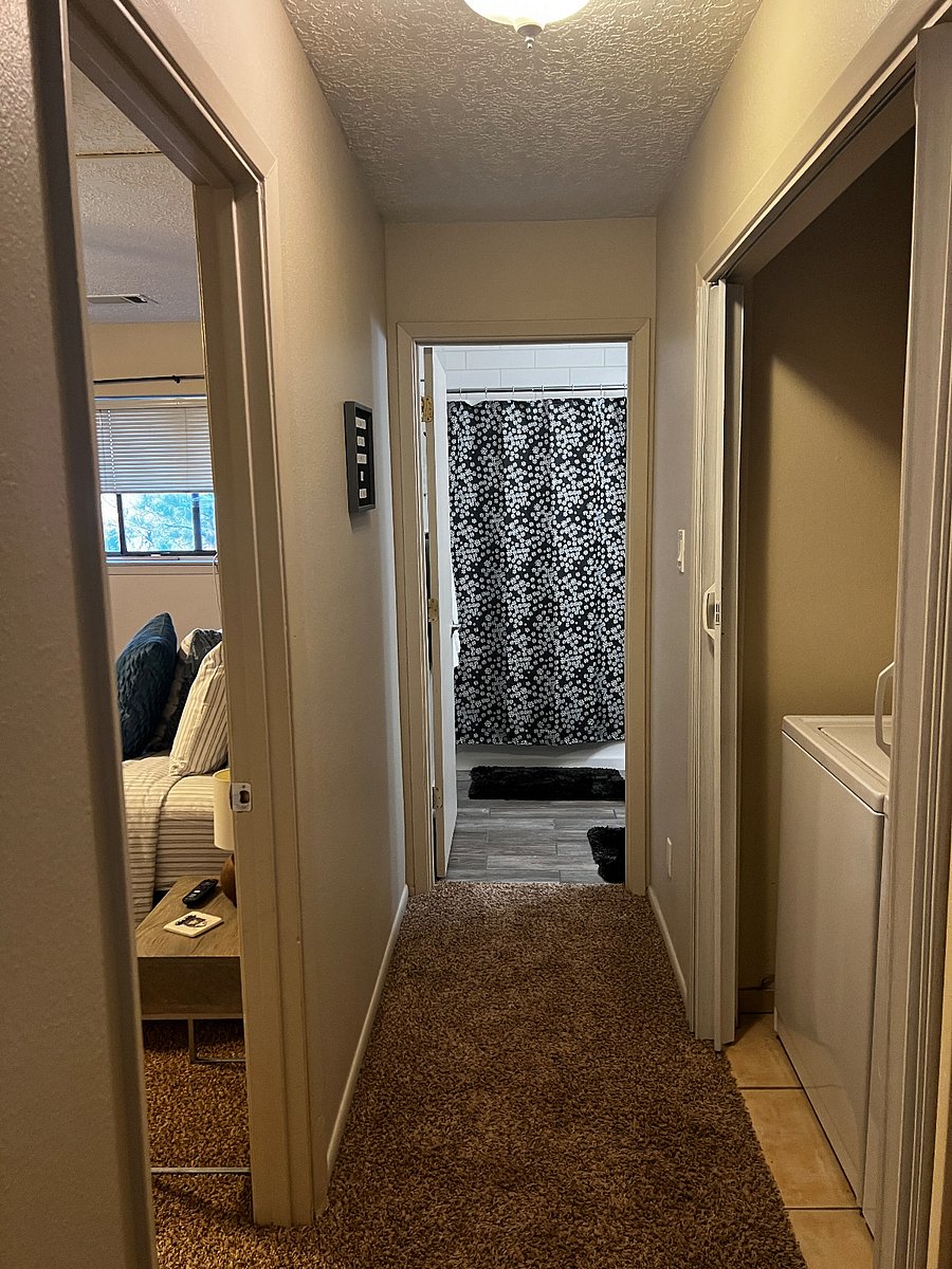 Furnished Finder property 230212_1 photo 43