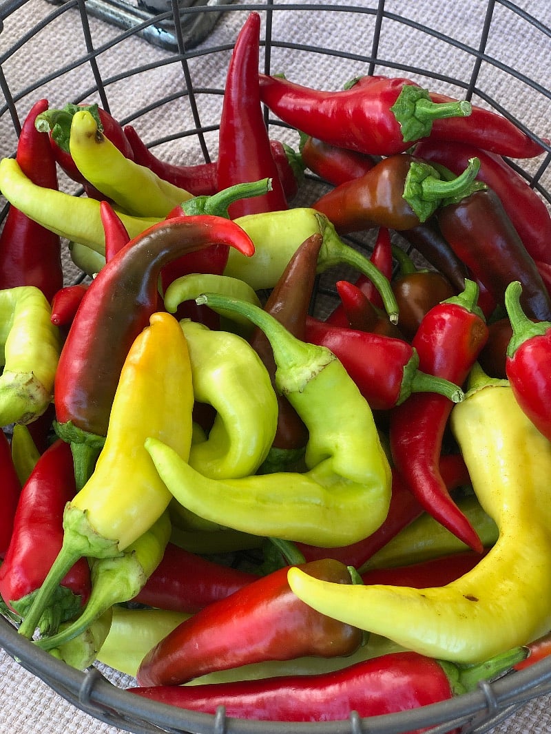 Local Growers market every Saturday 1/2 a mile away @ Robinson Park